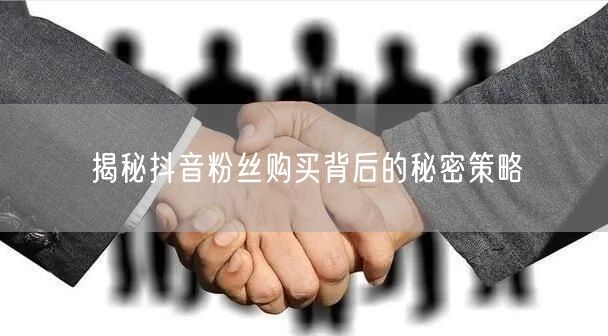 揭秘抖音粉丝购买背后的秘密策略