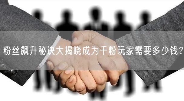粉丝飙升秘诀大揭晓成为千粉玩家需要多少钱?