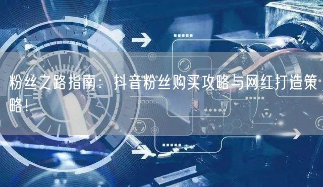 粉丝之路指南：抖音粉丝购买攻略与网红打造策略！