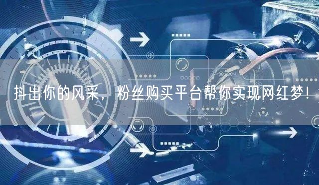 抖出你的风采，粉丝购买平台帮你实现网红梦！