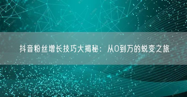 抖音粉丝增长技巧大揭秘：从0到万的蜕变之旅