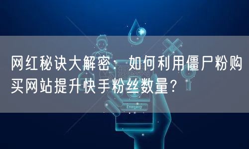 网红秘诀大解密：如何利用僵尸粉购买网站提升快手粉丝数量？