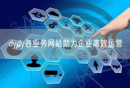 dydy各业务网站助力企业高效运营
