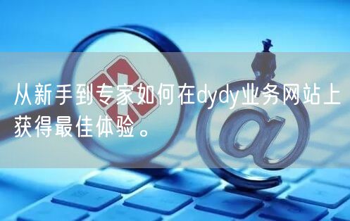 从新手到专家如何在dydy业务网站上获得最佳体验。