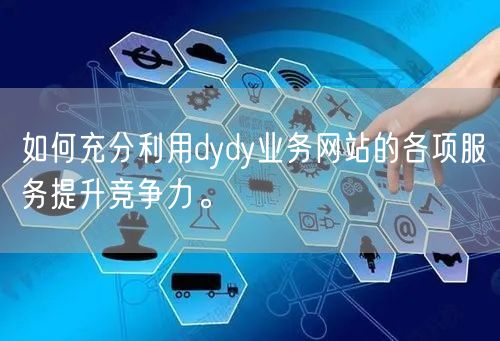 如何充分利用dydy业务网站的各项服务提升竞争力。