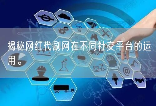 揭秘网红代刷网在不同社交平台的运用。