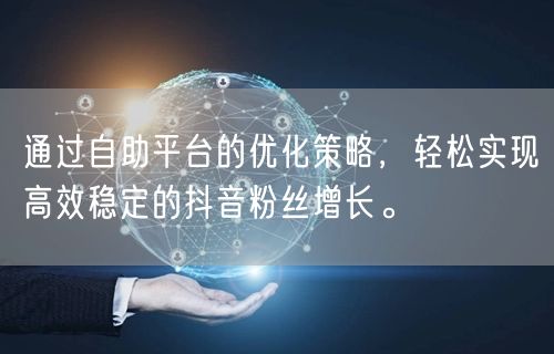 通过自助平台的优化策略,轻松实现高效稳定的抖音粉丝增长。