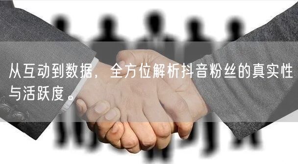 从互动到数据,全方位解析抖音粉丝的真实性与活跃度。