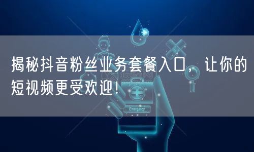 揭秘抖音粉丝业务套餐入口,让你的短视频更受欢迎!