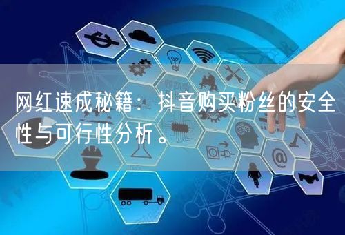 网红速成秘籍:抖音购买粉丝的安全性与可行性分析。