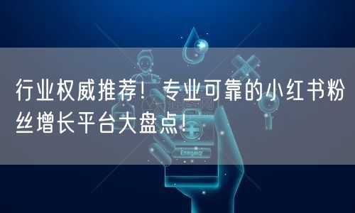 行业权威推荐！专业可靠的小红书粉丝增长平台大盘点！